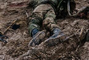 Стало известно о 35 тысячах украинских бойцах, чьи тела бросили на поле боя
