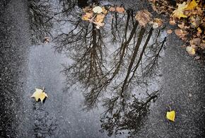 Тепло в Краснодарском крае задержится, но пройдут дожди