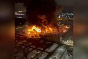 Взрывы в московском гипермаркете попали на видео