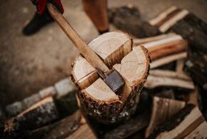 Житель Мостовского района Кубани топил печку дровами из ценных пород деревьев