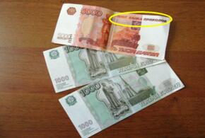 На Кубани приезжая подменила бабушке деньги на билеты из банка приколов