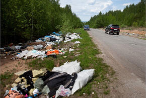 На Кубани выброс мусора из машин будут выявлять с помощью камер