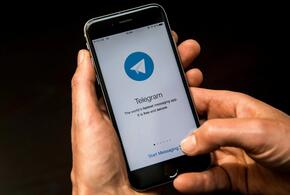 С 1 марта запрещено передавать через мессенджер Telegram определенные данные