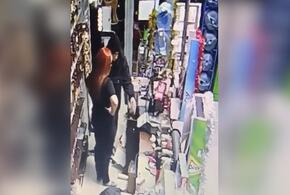 В Краснодаре 19-летний парень с ножом ограбил продуктовый магазин 