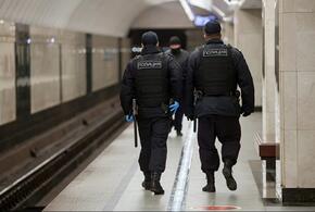 В Москве приезжий с Кубани ограбил пассажирку метро и прыгнул под поезд