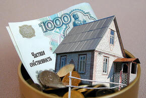 В России владельцы могут лишиться дач и земельных участков