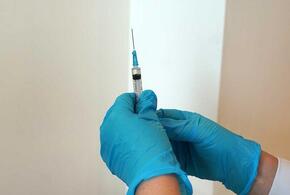 Гинцбург заявил о безопасности вакцины от COVID-19 для детей 