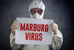 Из-за вспышки вируса Марбург на границе усилили санитарный контроль