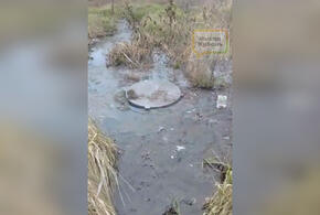 «Народ задыхается»: жители Северского района Кубани жалуются на текущую канализацию