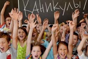 В России предложили сократить каникулы для школьников