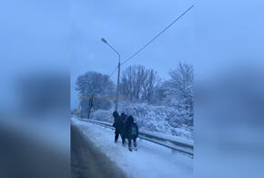 Жители Краснодарского края пожаловались на нечищеные дороги к школам