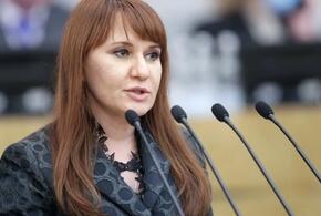 Чудный пиар: милая депутат Госдумы от Кубани Бессараб ратует за работу до обеда