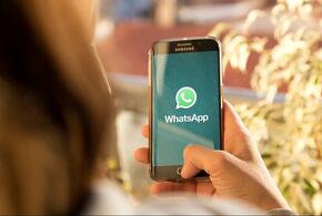Пользователей WhatsApp обрадовали свежими нововведениями