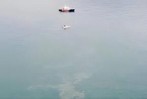Председатель СК России взял на контроль дело о крушении судна в акватории Черного моря