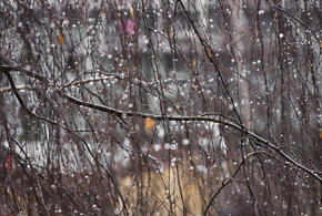 Синоптики рассказали о дождливой и ветреной погоде на Кубани