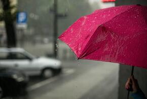 Дожди и ветер: сегодня погода вновь не порадует жителей Кубани 