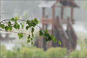 В Краснодарском крае 11 апреля пройдут дожди, но потеплеет до 21 градуса