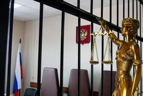 В Москве арестовали юристку Родину за призывы к терроризму