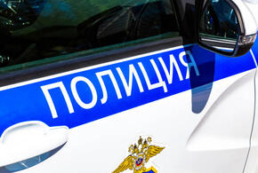 В Каневском районе Кубани мужчина вызвал полицейского специально, чтобы напасть на него