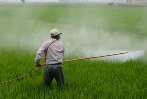 В Краснодарском крае фермера оштрафовали за использование химикатов