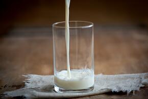 Антимонопольная служба проверит, почему дорожает молоко 