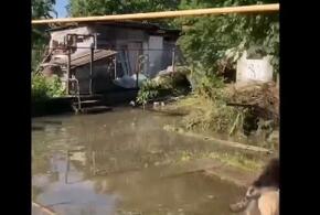 Град и ливень: в Лабинском районе затопило более 100 домов