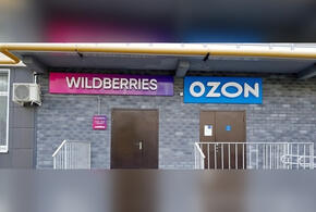 Покупателей Wildberries и Ozon предупредили об изменениях в работе приложений