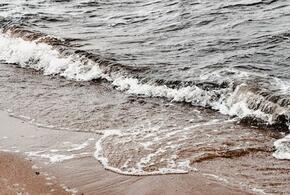 Вода в Азовском и Черном морях к выходным прогреется до комфортных отметок