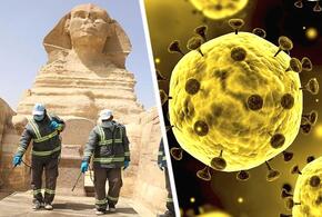 Предупреждение для туристов: в Египте обнаружили неизвестное заболевание