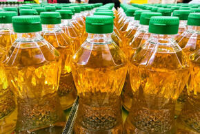 Продукты, содержащие пальмовое масло, могут начать маркировать