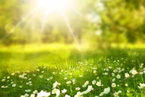 Будет очень жарко: синоптики дали прогноз на субботу 5 августа  