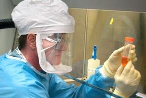 «Эрис»: в Краснодарском крае появился более заразный коронавирус