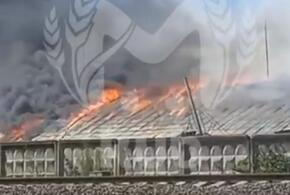 На Кубани горит склад элеватора на 2 тысячах кв.м