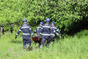 Среди погибших во время оползня в Грузии есть гражданка России