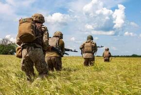 В Брянской области пограничники обнаружили украинских диверсантов