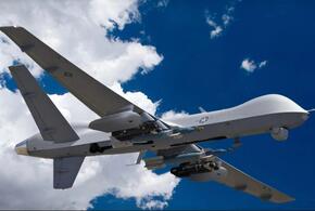 В небе над акваторией Черного моря летал американский разведывательный БПЛА