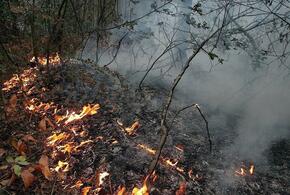 Всю ночь пожарные тушили лесной пожар в Кабардинке