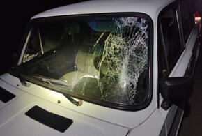 15-летнего подростка на Кубани сбила «шестерка», когда тот шел по краю дороги