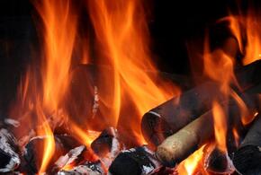 Мужчина сжег новорожденного сына после смерти жены