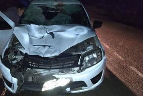 На Кубани пьяный водитель насмерть сбил велосипедиста с ребенком