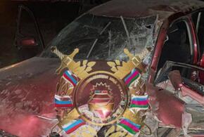 На Кубани водитель иномарки на полном ходу врезался в дерево и погиб