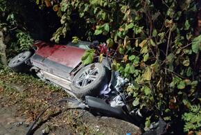 На Кубани женщина-водитель устроила смертельную аварию, выехав на встречку