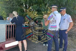 На Кубани женщина возила по трассе своих детей в автоприцепе