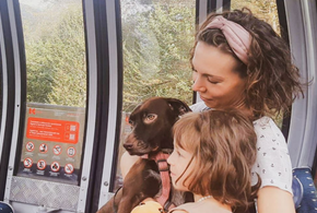 По канатной дороге в Красной поляне разрешили ездить с большими животными