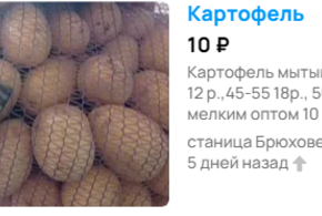 Почему на Кубани подешевела картошка, объяснили эксперты 