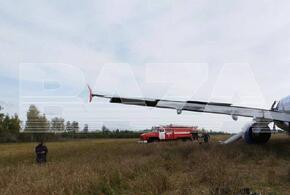 Появились подробности об экстренной посадке самолета, вылетевшего из Сочи