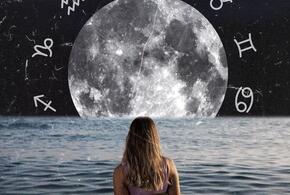 Раки сегодня будут искать единомышленников, а у Овнов появится шанс избавиться от проблем