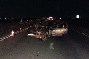 В ДТП с лошадью в Адыгее пострадала годовалая девочка