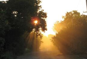 В Краснодарском крае 13 сентября будет сухо