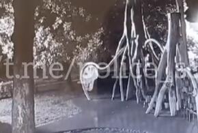 В Сочи 39-летний мужчина подрался с подростками